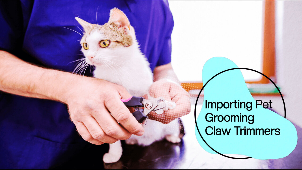 Pet Grooming Claw Trimmers: Import Guide