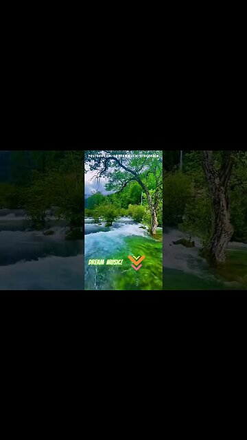 ASIAN MOOD: blissful nature sounds with chirping birds and peaceful forests #shorts