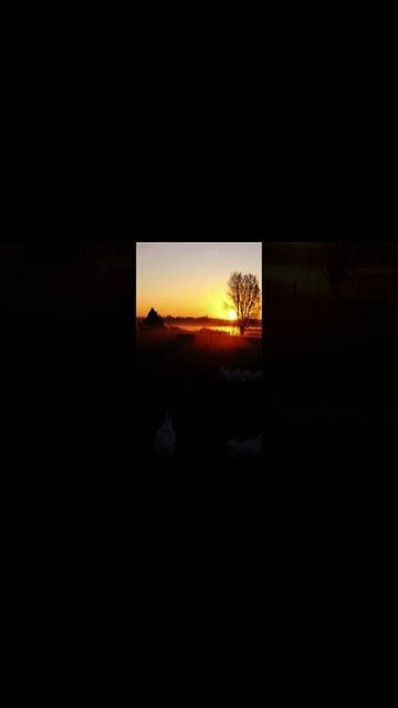 Beautiful Farm Sunrise #Short