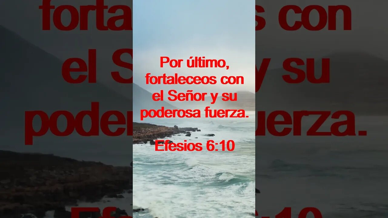 Verso Del Día | Lectura Inspiradora Para Empezar El Día. | 81