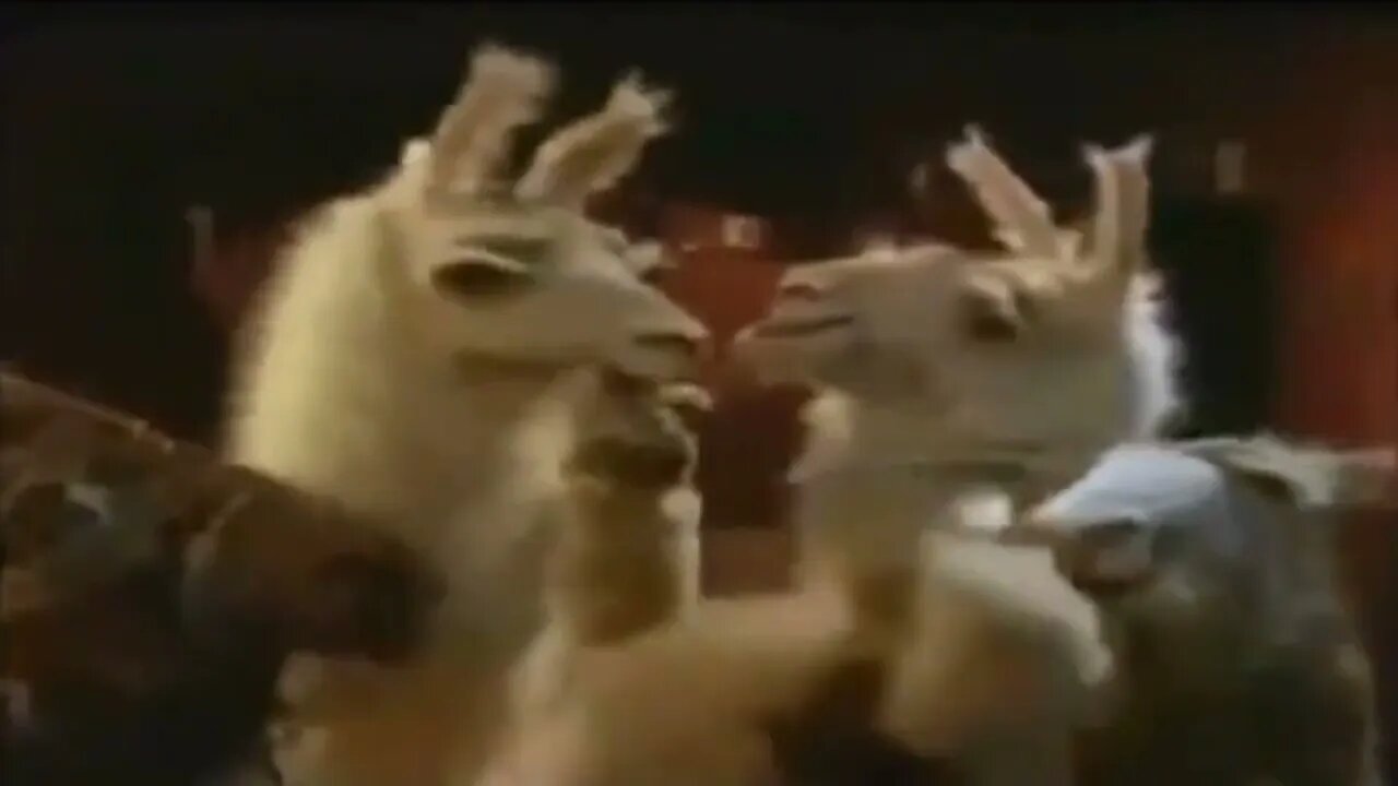 La Llama que llama - Hola, ¿Hablo con la NASA? - Telecom - Publicidad (1999-2002)