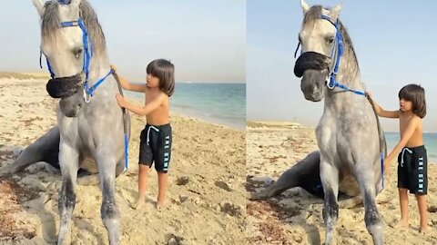 Beautiful friendship between a boy and a horse