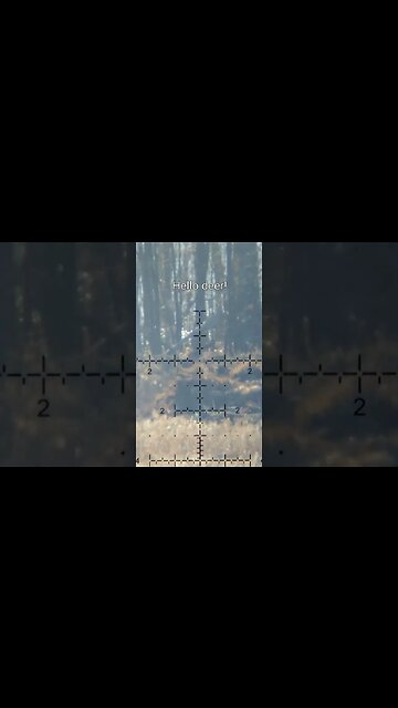 When a deer interrupts your target practice