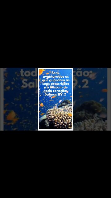 VERSÍCULO DO DIA 06/11/2022.#shorts