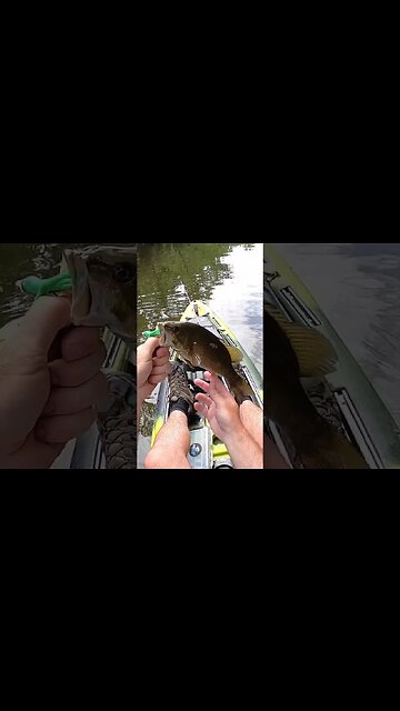 Kayaking Ohio Creek - Part 2