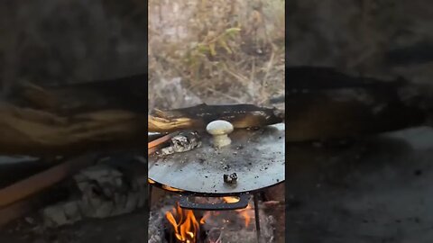 breakfast is served #bushcraft #survival #southwestsurvival