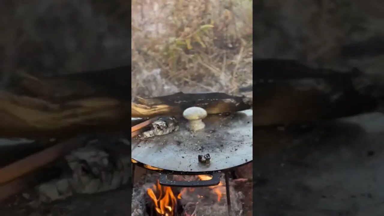 breakfast is served #bushcraft #survival #southwestsurvival