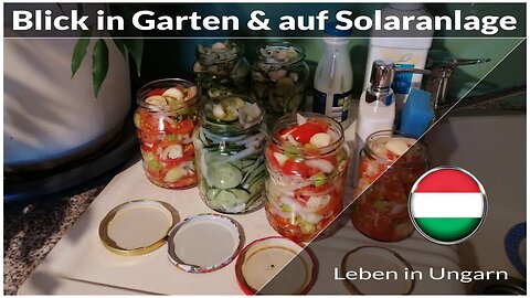 Blick in den Gemüsegarten und auf Solaranlage - Leben in Ungarn