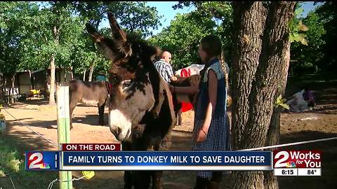 Donkey milk to help little girl