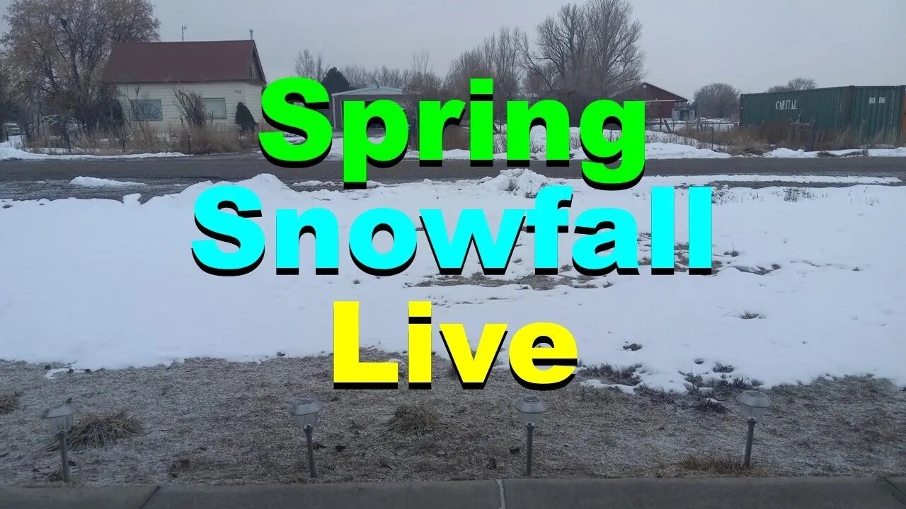 No. 971 – Live Spring Snow Fall