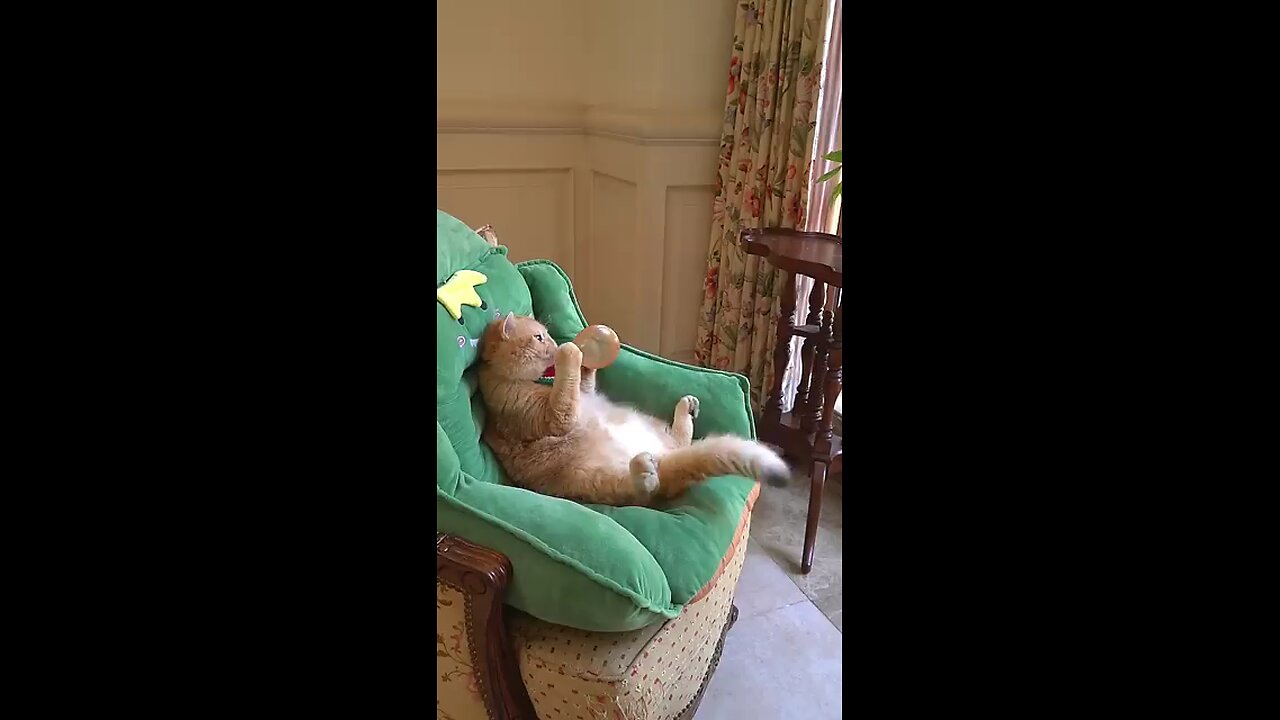 try not to laugh