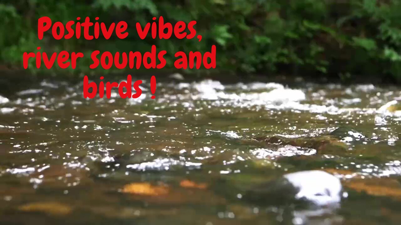 Positive vibes boost, river sounds and birds !