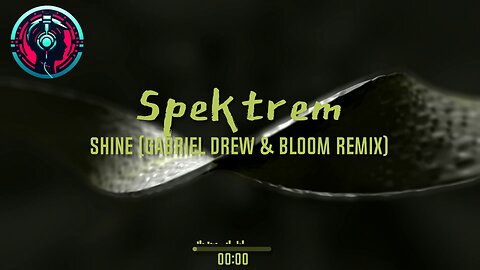 Spektrem - Shine (Gabriel Drew & Bloom Remix)