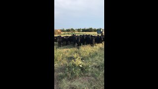Weaning time