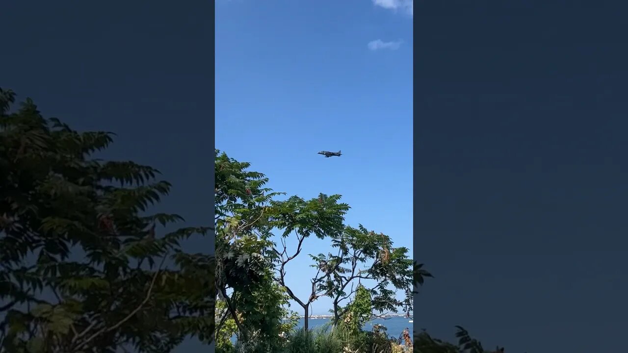 Harrier fly-by!!! #airshow #harrier #mawg