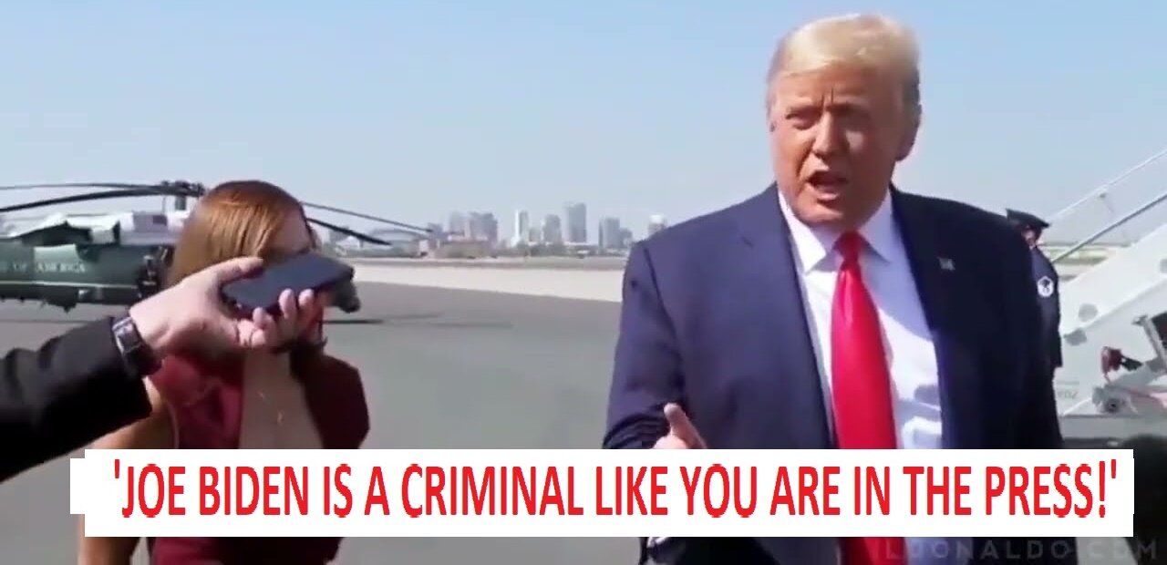 Donald Trump: 'JOE BIDEN IS A CRIMINAL LIKE YOU ARE IN THE PRESS!'