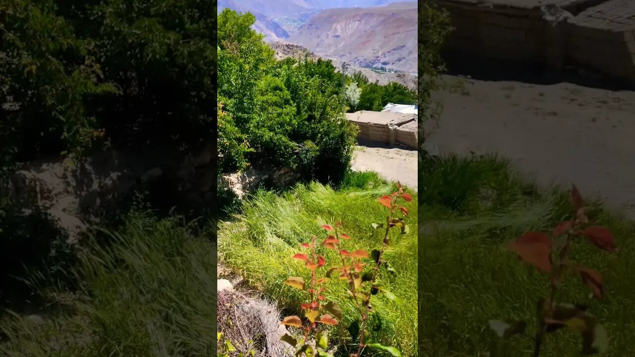 Garmi main chitral ki thandi tareen gaon ka nazarah #nature