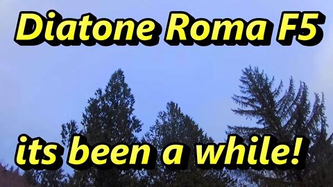 Getting a feel for the Diatone Roma F5 again