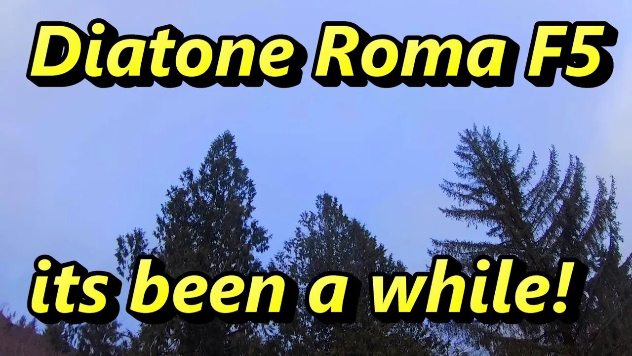 Getting a feel for the Diatone Roma F5 again