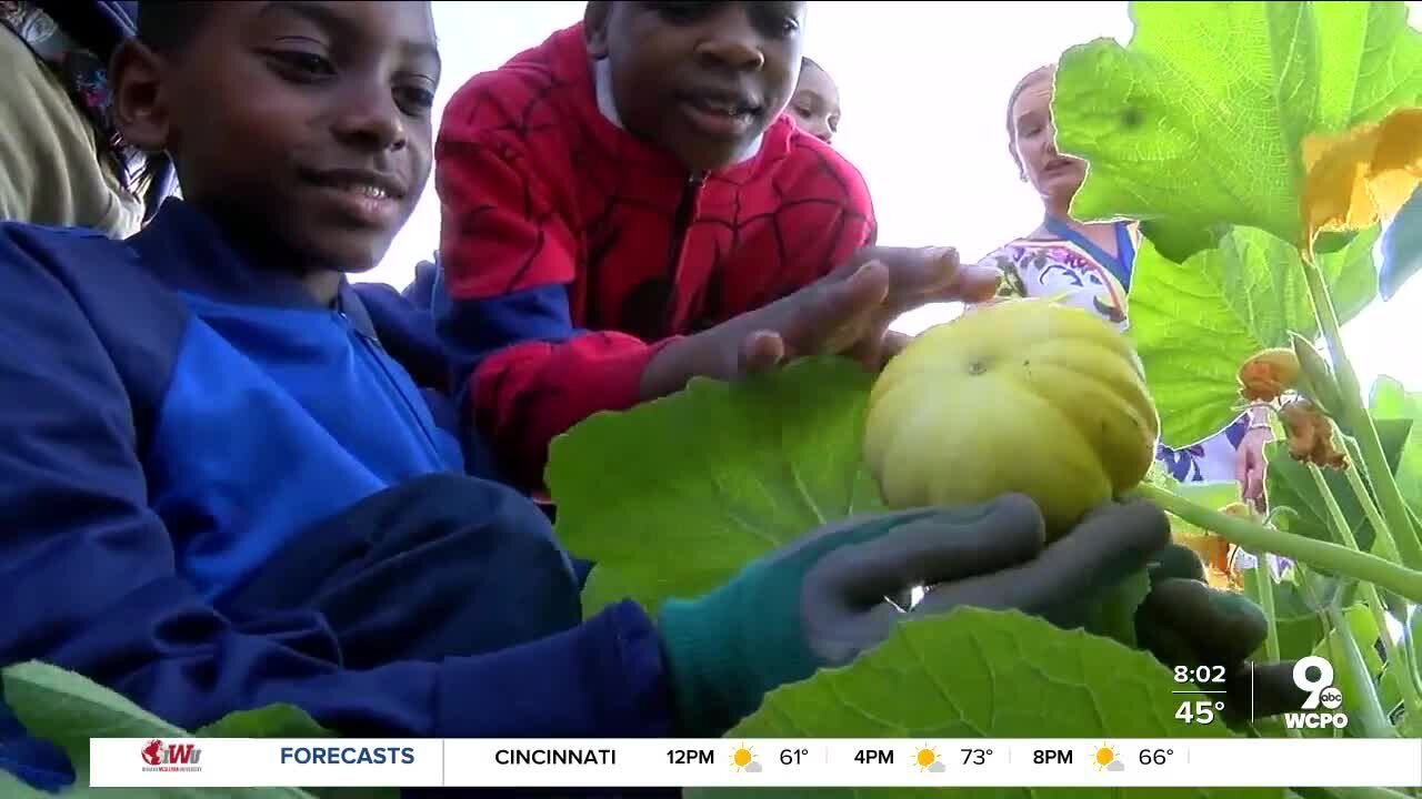 Give Back Cincinnati helps rebuild Madisonville school garden