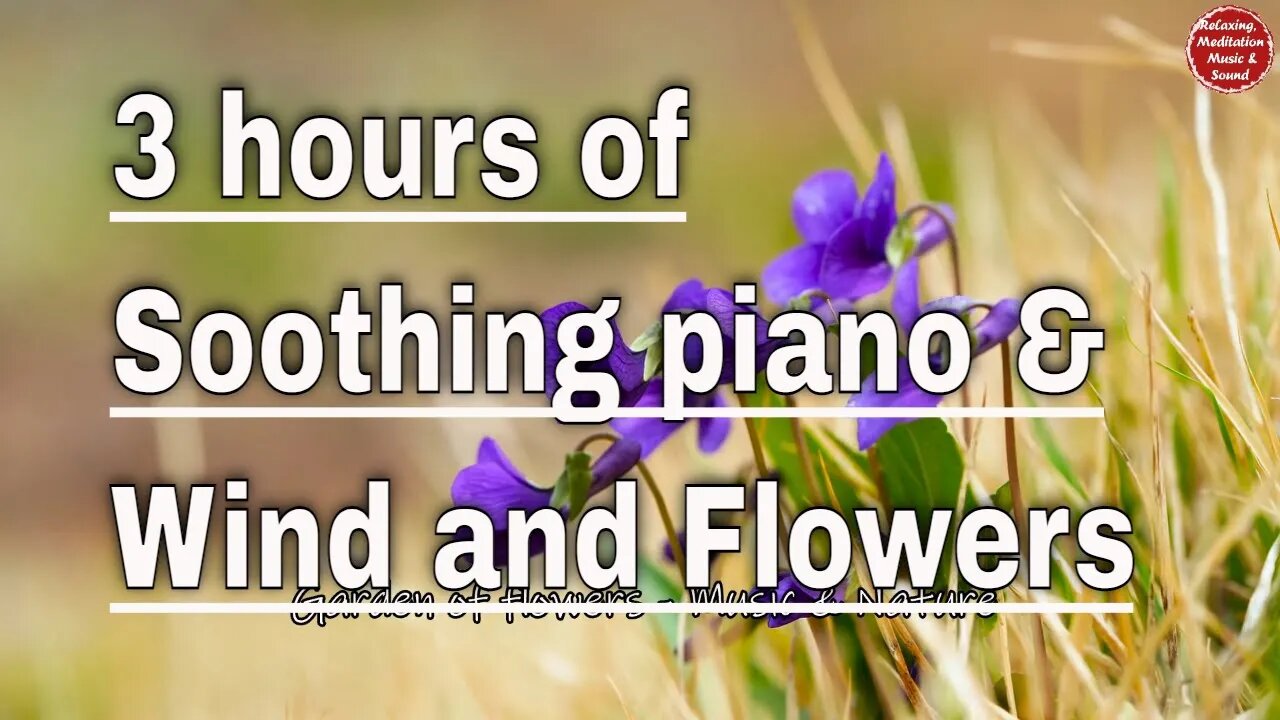 Soothing music with piano and windy sound for 3 hours, calming music to relax and meditate