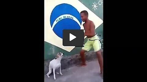 Perro baila y canta