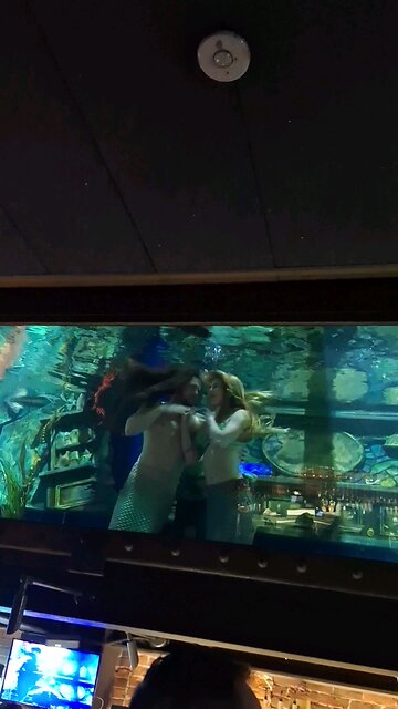 Mermaid and Merman Dive Bar Sacramento CA