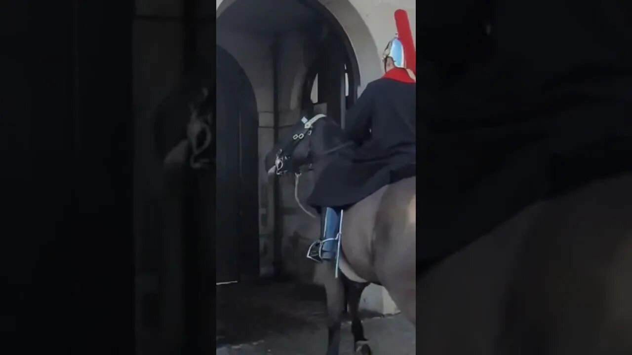 Horse unsettled turns all away around #horseguardsparade
