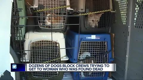 Dozens of dogs block crews trying to get to woman who was found dead