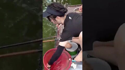 gadis cantik mancing di kolam ikan auto strike