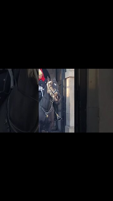 Get her off your shoulders #thekingsguard