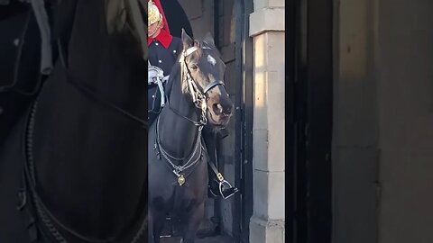 Get her off your shoulders #thekingsguard