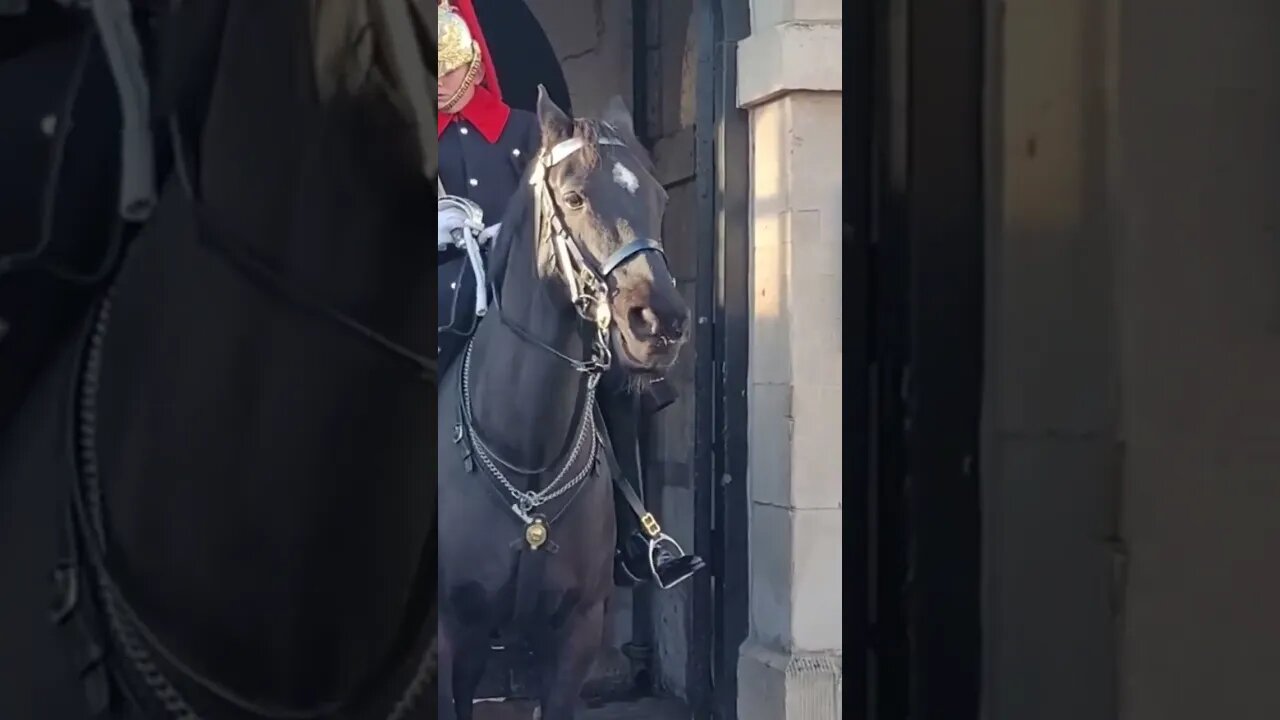 Get her off your shoulders #thekingsguard