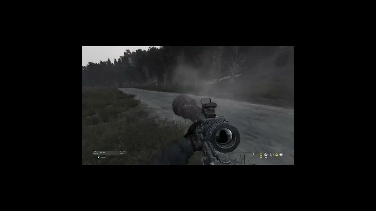 Yogi vs an M4