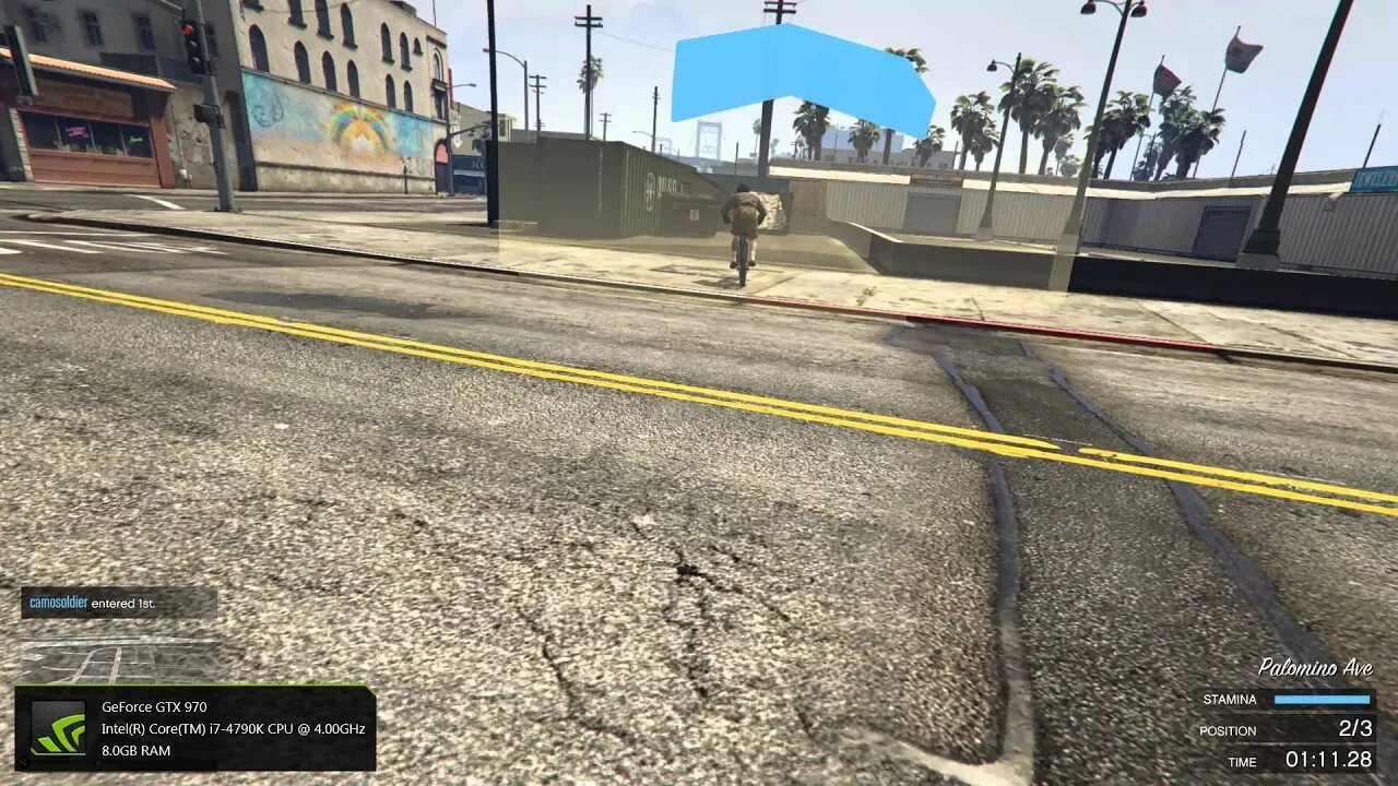 follow the leader
