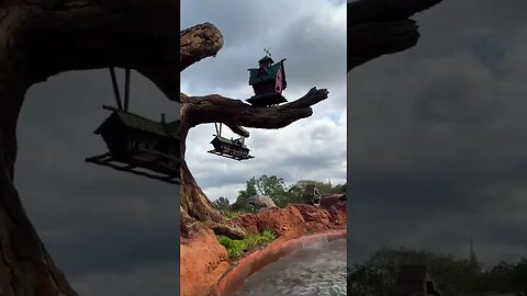 Last Splash of Splash Mountain 💦 #themeparks #disney