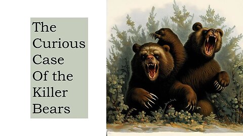 The Curious Case of the Killer Bears