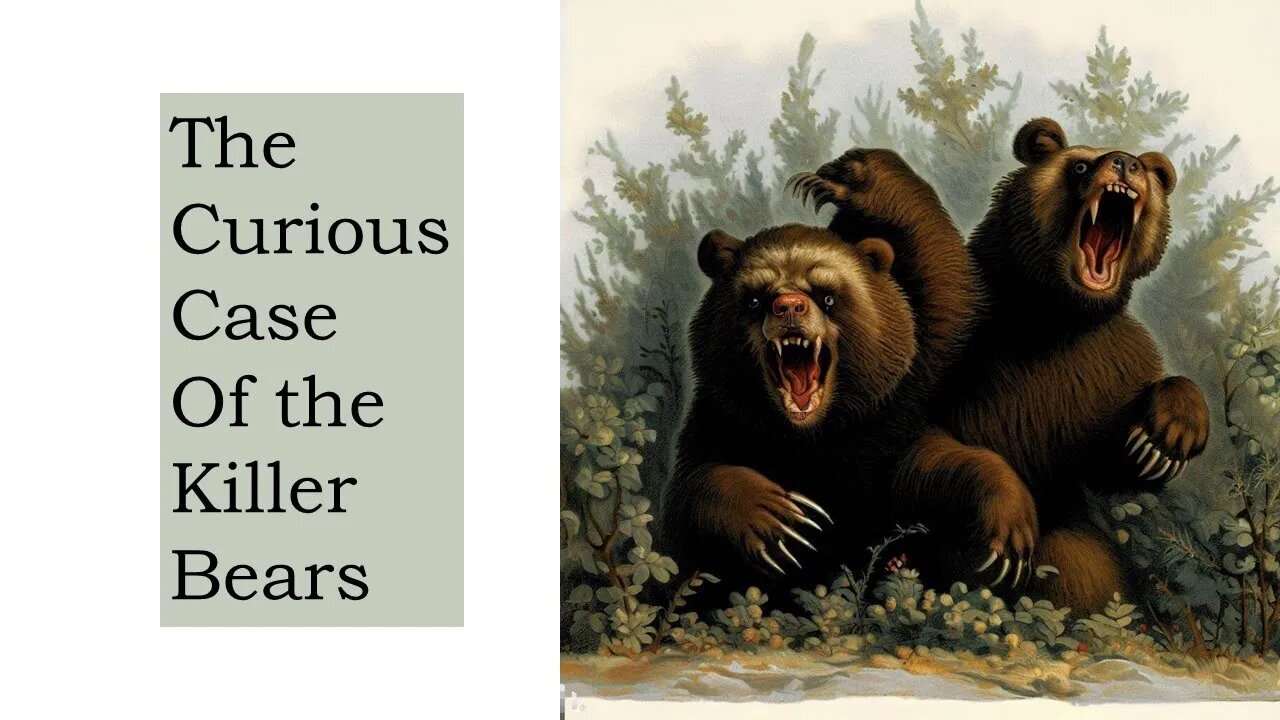 The Curious Case of the Killer Bears