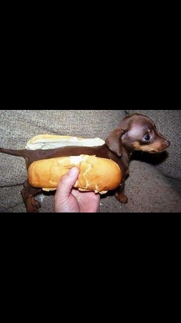 The end 😂😂😂