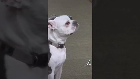 We Can Help You Find Your Dream Home!