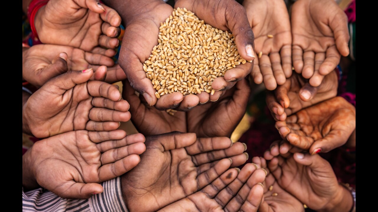 Hunger is a Good Thing | United Nations | Globalism The Benefits of World Hunger