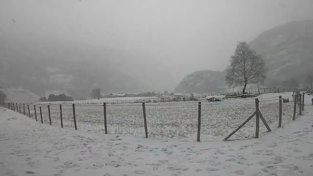 Space viking snowing