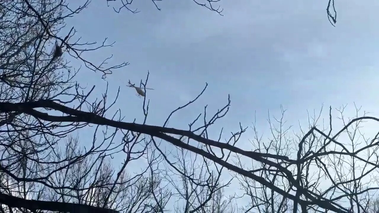 Pafford Helicopter Flying Over Monticello Arkansas 02/21/23