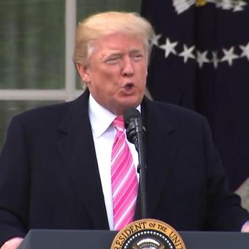 Giving President Trump A Chance