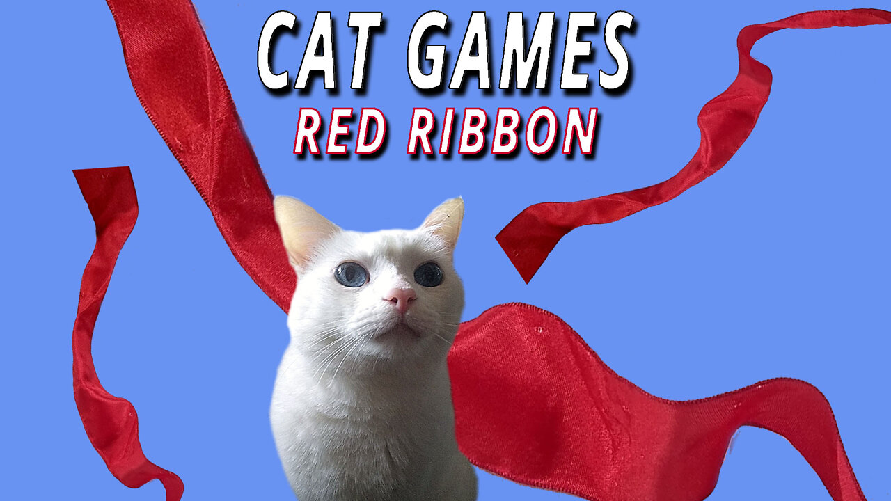 CAT GAMES: RED RIBBON!