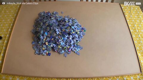 Timelapse mostra montagem de puzzle com 2000 peças