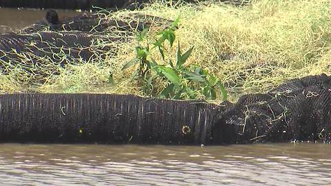 BAHS science students, city build floating wetland