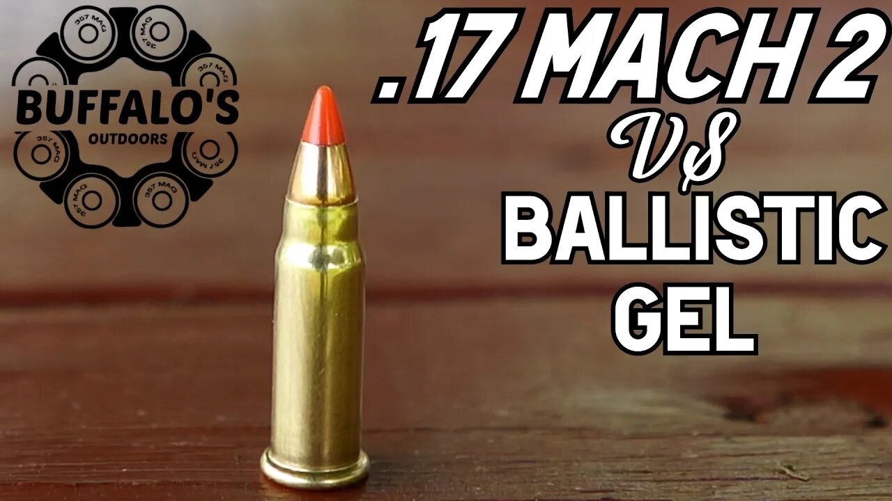 .17 HORNADY MACH 2 BALLISTIC GEL TEST