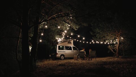 camping in FOREST 🦁 LIONS 😮 CAMPING WITH FAMILY IN FORESTS LIONS FLYING TIGERS 🐯🐅🐅