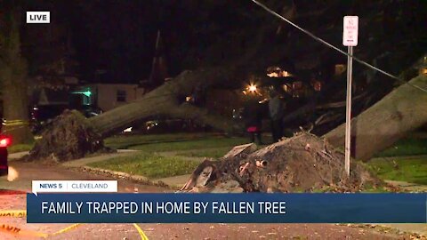 Multiple homes damaged by fallen trees on residential street in Cleveland
